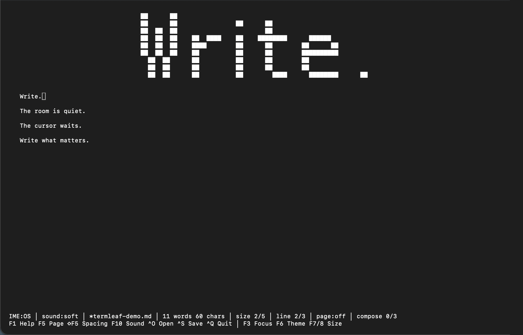 Example of the Termleaf writing screen